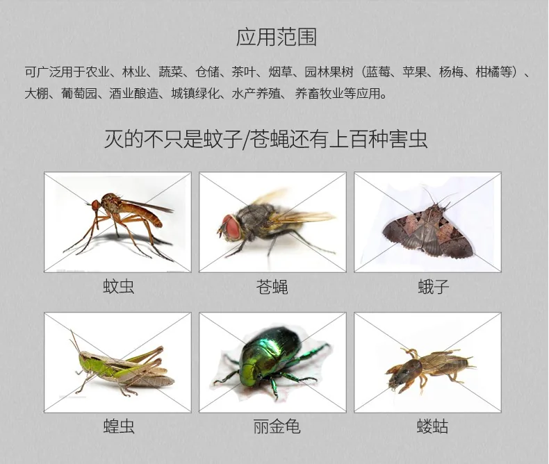 光伏杀虫灯 — 产品图 3